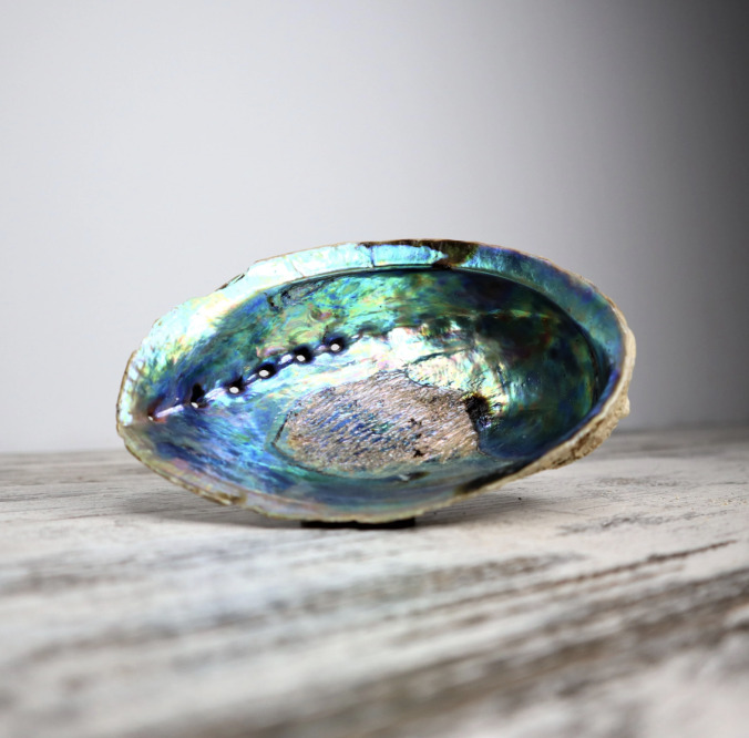 Abalon školjka za kađenje - Slika 3