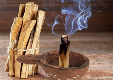 Palo Santo mirisna drvca za pročišćavanje